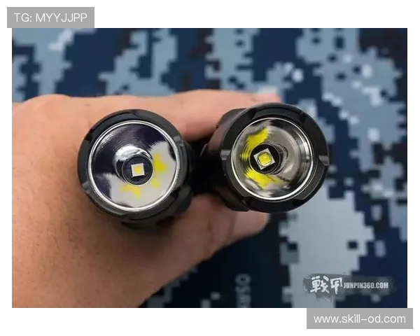 巴尔科拉与萨卡：进攻成熟度及战术适配性对比分析