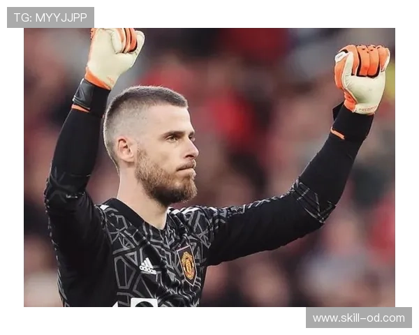 恩佐是否需要更强队友？战术角色适配与体系依赖分析